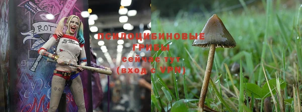 соль курить ск Липки