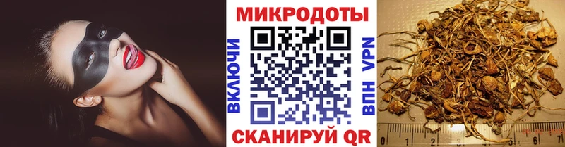 Галлюциногенные грибы мухоморы  мориарти как зайти  Лодейное Поле 